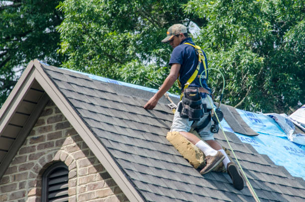 Best Roof Repair Specialists  in USA